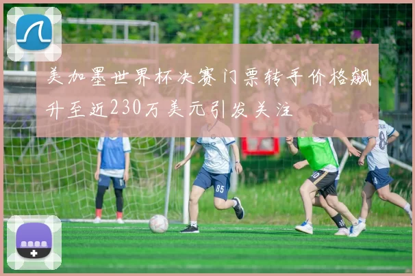 美加墨世界杯决赛门票转手价格飙升至近230万美元引发关注