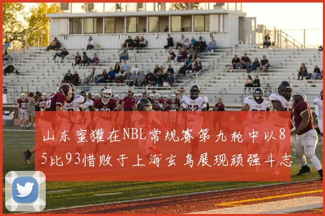 山东蜜獾在NBL常规赛第九轮中以85比93惜败于上海玄鸟展现顽强斗志